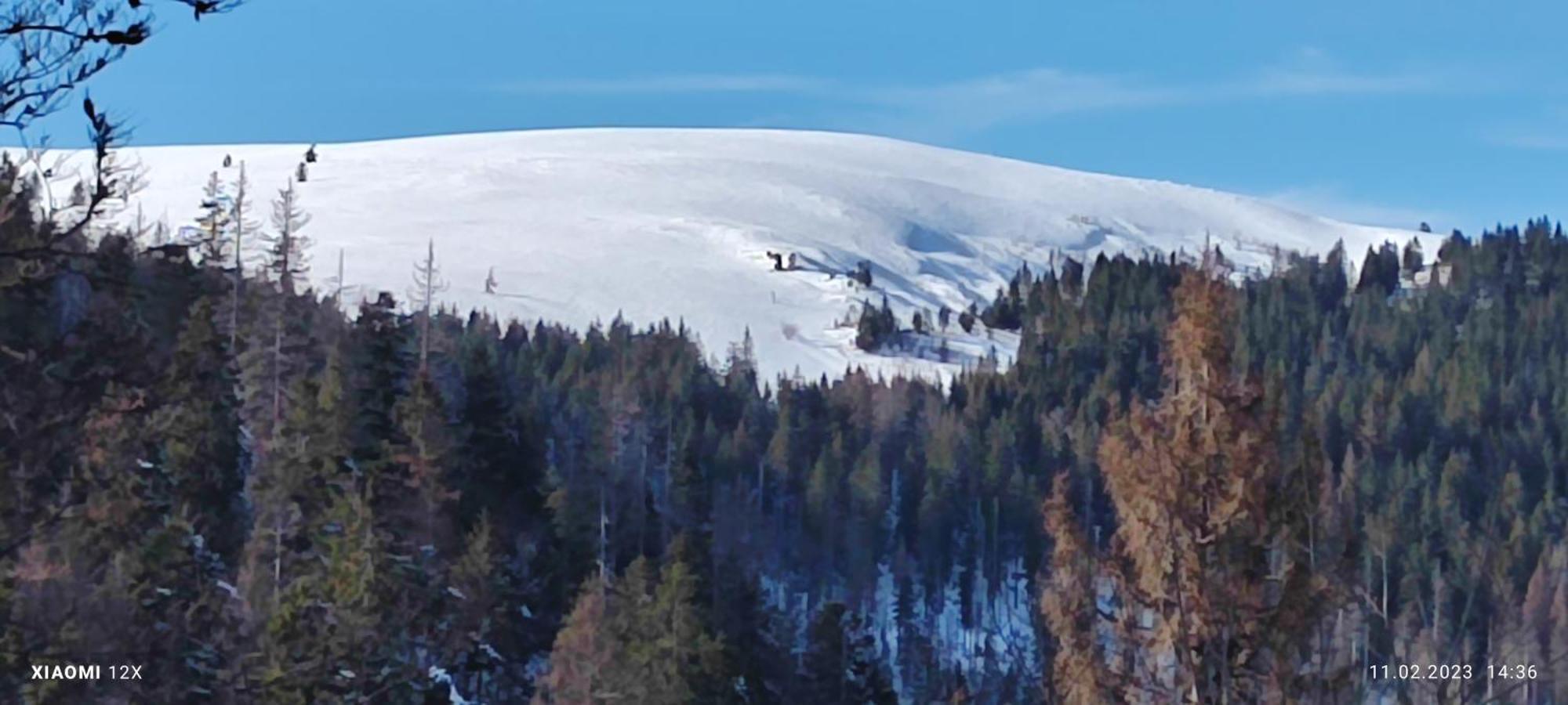 Schicke Ferien Wohnung Mit Tollem Ausblick In Schwarzwald. Villingen-Schwenningen Bagian luar foto