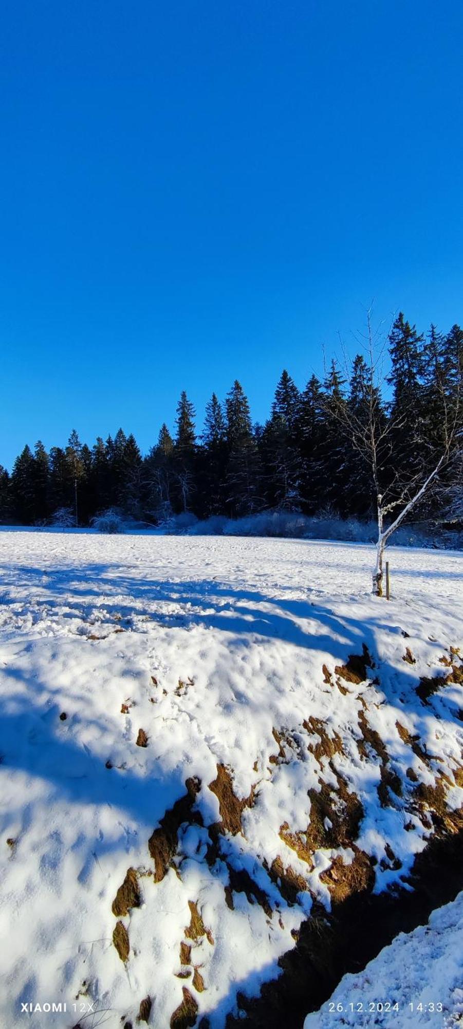 Schicke Ferien Wohnung Mit Tollem Ausblick In Schwarzwald. Villingen-Schwenningen Bagian luar foto