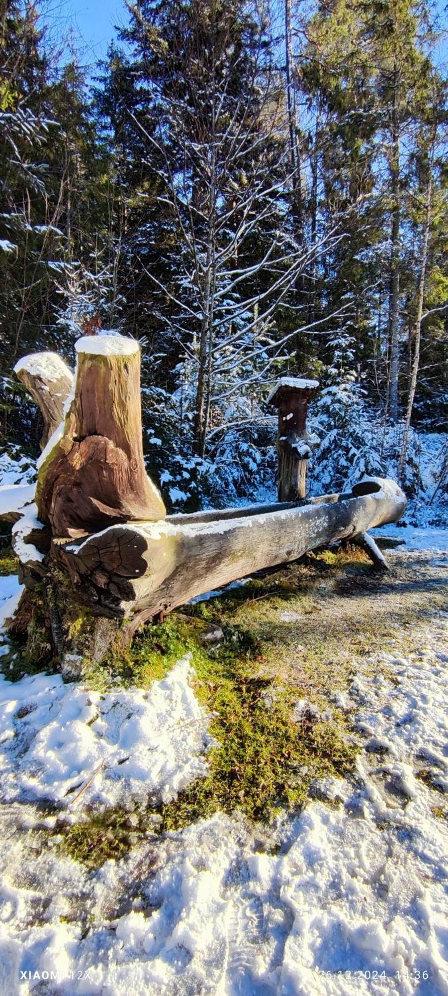Schicke Ferien Wohnung Mit Tollem Ausblick In Schwarzwald. Villingen-Schwenningen Bagian luar foto